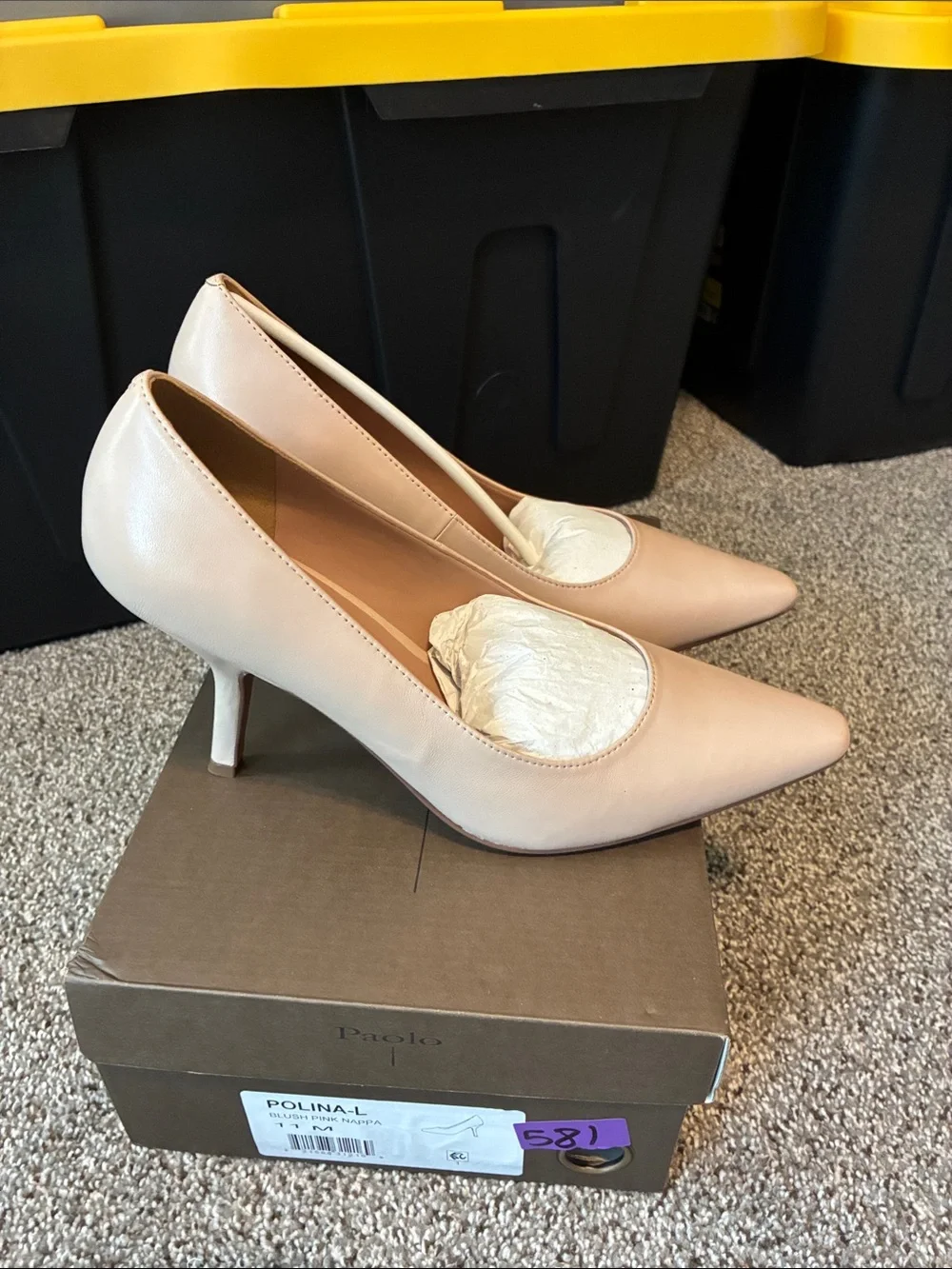 Paolo Pointed Toe Stiletto Pumps - Blush Nude